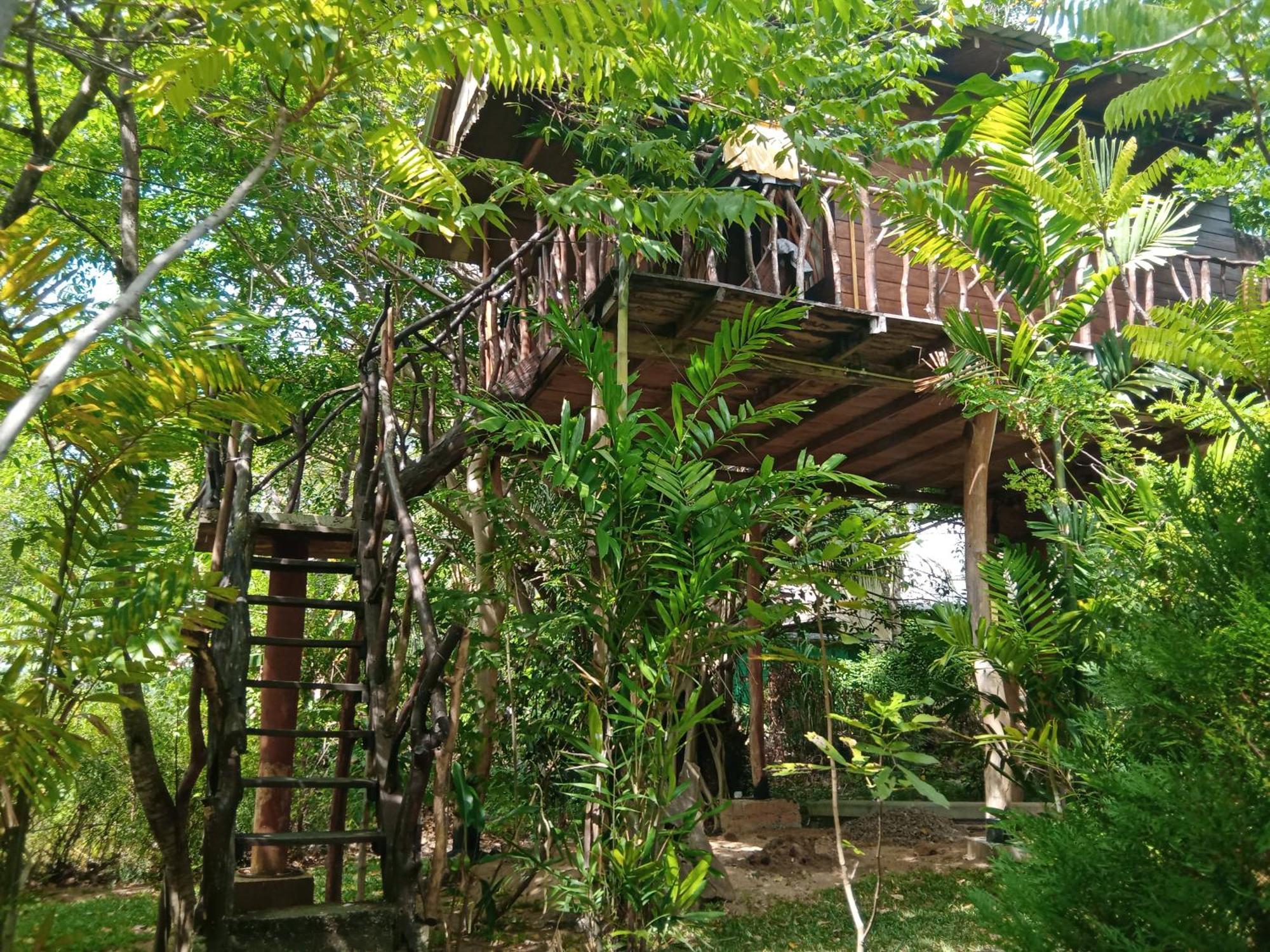 Sigiriya Rock Gate Tree House Hotel Exterior photo