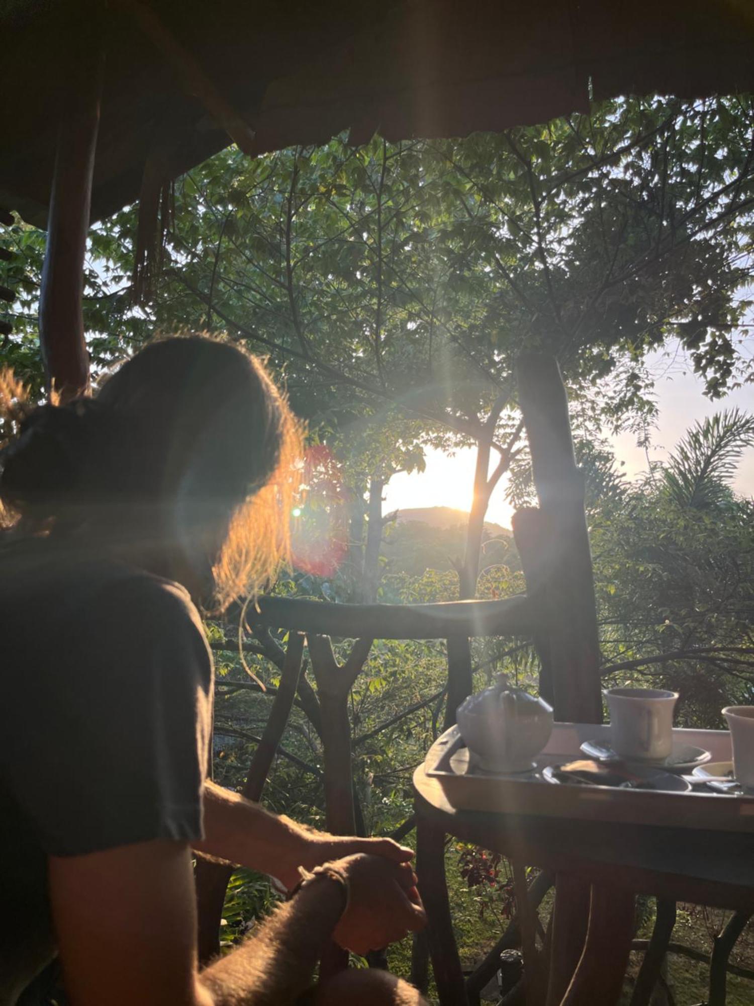 Sigiriya Rock Gate Tree House Hotel Room photo