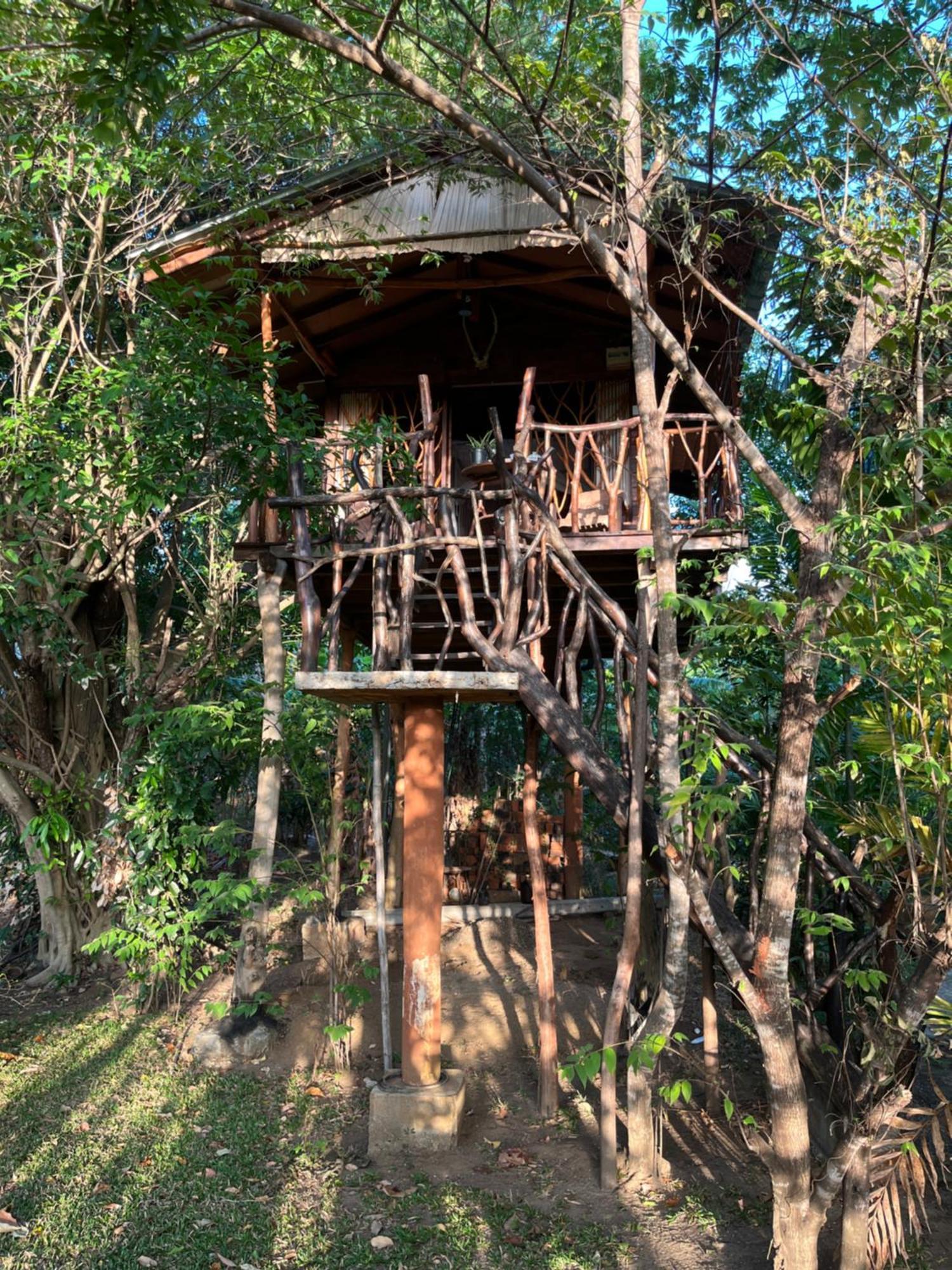 Sigiriya Rock Gate Tree House Hotel Room photo